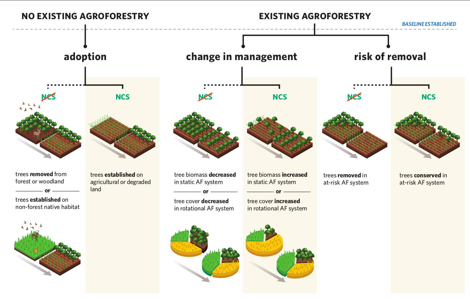 conceptual diagram of agroforestry as a natural climate solution