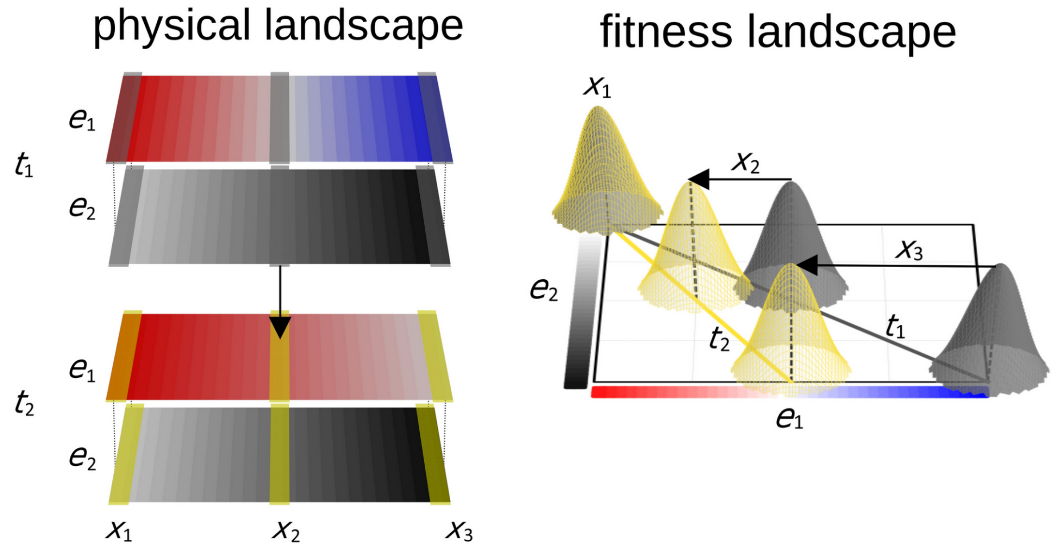 conceptual diagram of the shifting adaptive landscapes under climate change
