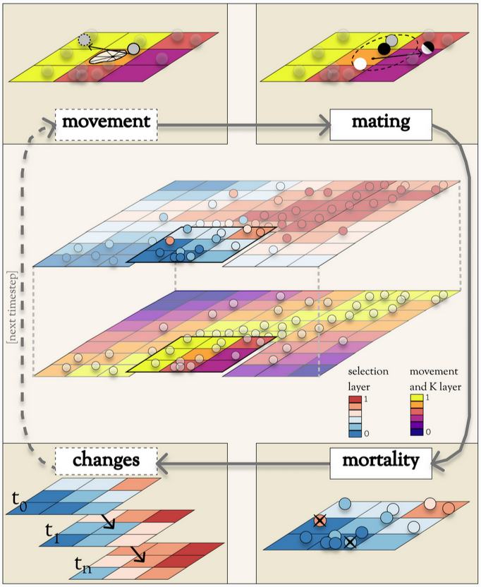 simple conceptual diagram showing how Geonomics operates