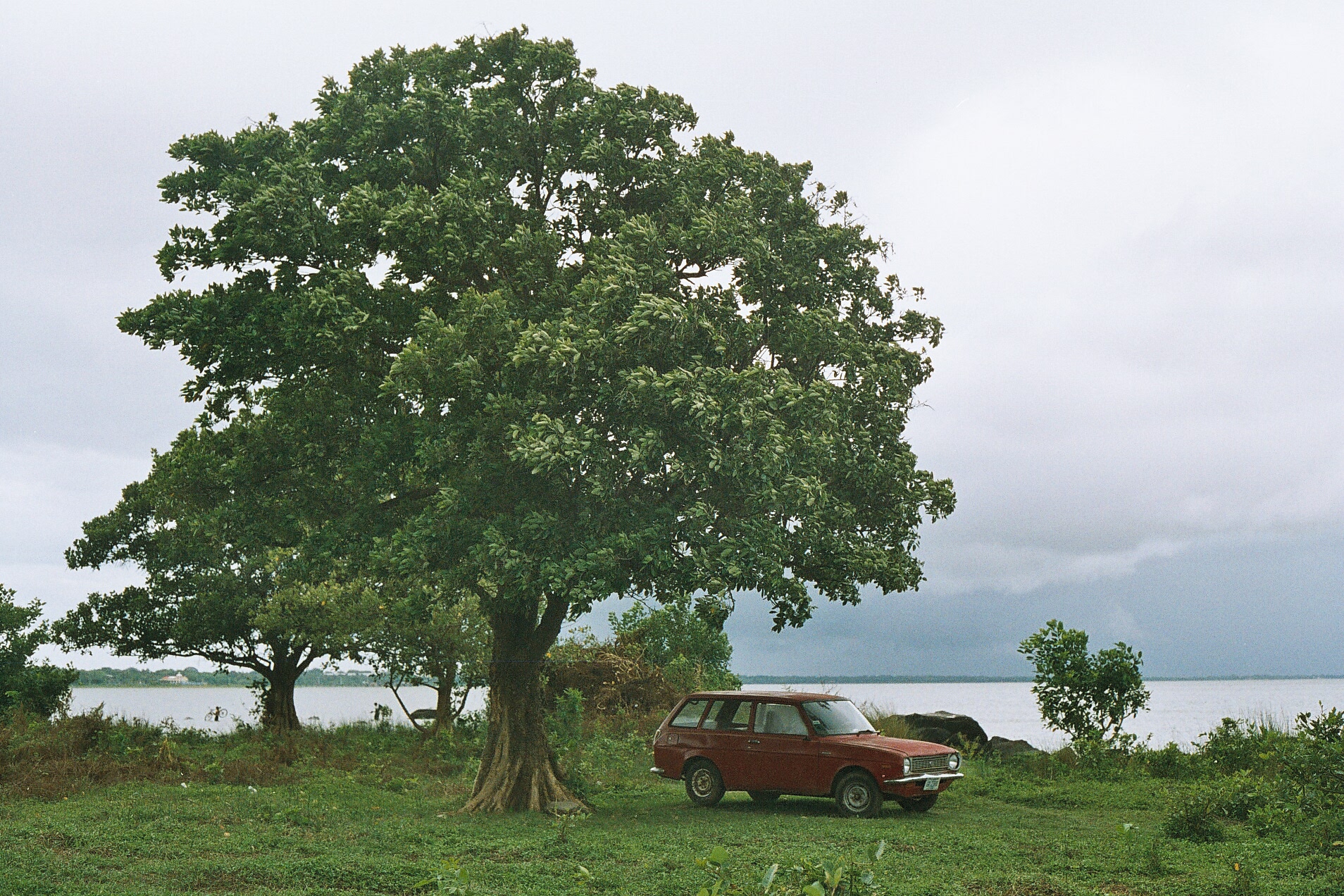 car and tree; somewhere in NIC