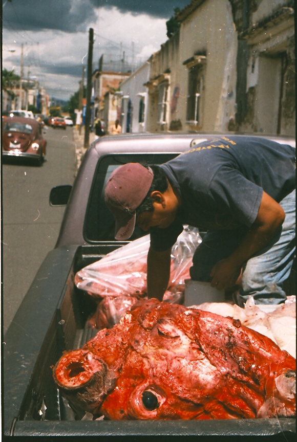 tacos de cabeza; Oaxaca, MEX